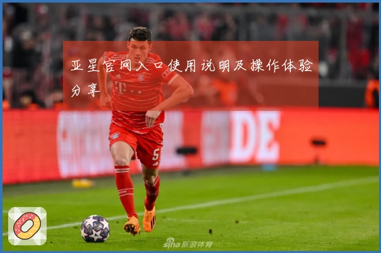 亚星官网入口使用说明及操作体验分享