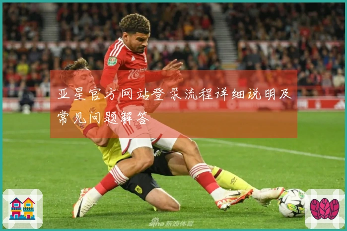 亚星官方网站登录流程详细说明及常见问题解答