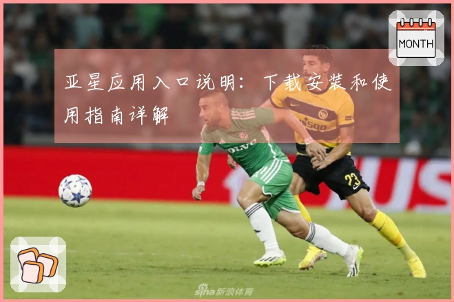 亚星应用入口说明：下载安装和使用指南详解